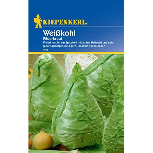 Kiepenkerl 0440 Weißkohl Filderkraut, Spitzkohl mit später Reifezeit und sehr guter Eignung zum Lagern, Ideal für Kohlrouladen