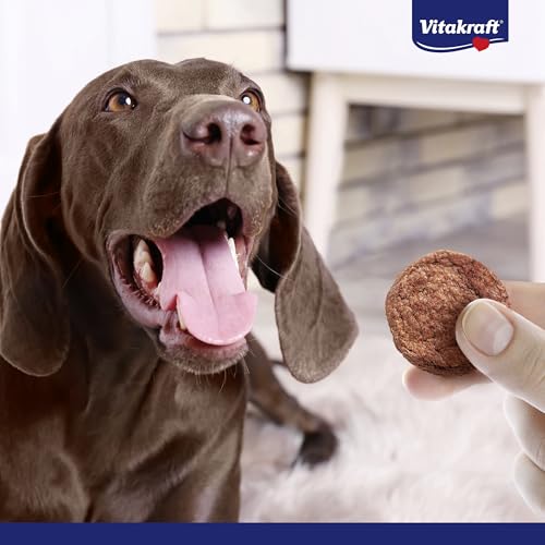 Vitakraft Beef Burger, Hundeleckerli, für zwischendurch und unterwegs, ohne Zusatz von Zucker (1x 27g)