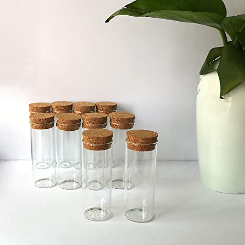 Fioles en verre de 40 ml pour conserver vos échantillons de laboratoire et épices - 5