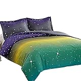 NTBAY 3 Pieces Duvet Cover Set Printed Microfiber Reversible Design(Queen, Purple and Green)