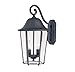 Savoy House 5-6212-BK Two Light Wall Lantern