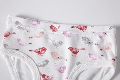 Cadidi Dinos Big Girls' Underwear Baby Soft Cotton Panties Little Kids Assorted Briefs (Pack of 6) Size 8 - Thumbnail 4