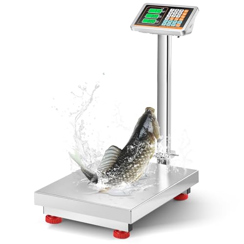 Báscula digital Bonvoisin plataforma acero inoxidable 660 lb