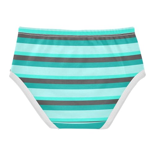 Blue Black Stripe Toddler Girls's Underwear 2T 23008952