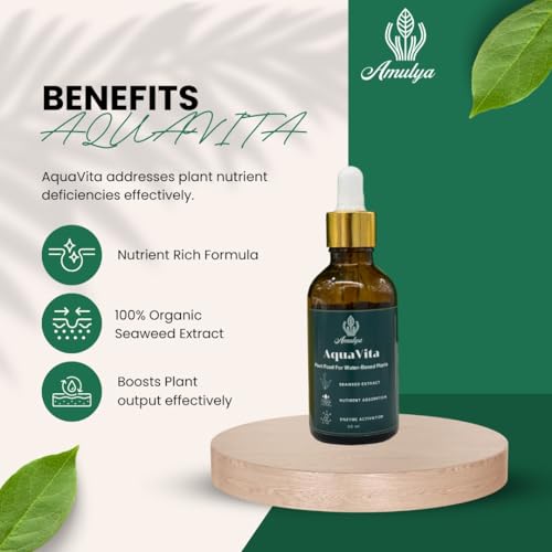 Image of Amulya FARMS & NURSERY AquaVita | Organic Liquid Fertilizer for Lucky Bamboo, Money Plants & Indoor Plant Growing in Water | Fertilizers for Home Garden | Plant Food for Plants Rooting in Water (50ML)