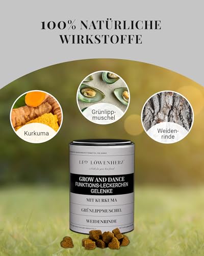 LEO LÖWENHERZ Leckerlis Grow & Dance - 370g - Funktionsleckerlis für Hunde - Gelenke - 100% Natur - Zuckerfrei - Futterergänzung - Made in Germany