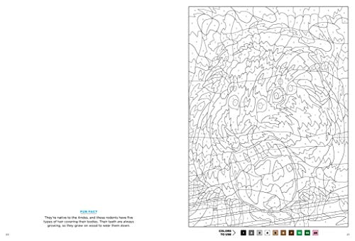 Mystery Colors: Color By Number & Discover the Magic