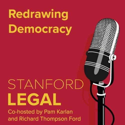 『Redrawing Democracy』のカバーアート