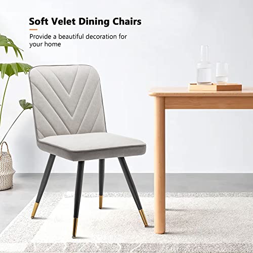 Alish Dining Chairs, Mid Century Modern Dining Chairs Set Of 2 Dining Room Chairs Upholstered Dining Chairs With Metal Legs Desk Chairs Side Chair For Kitchen, Living Room #TOP6