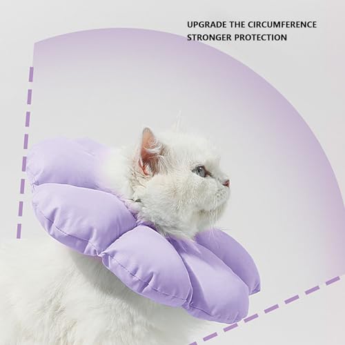 Cono protector para gato impermeable y ajustable con almohada blanda M 5