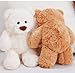 Gwxqybfe 10inch Teddy Bear Stuffed Animal, Soft Teddy Bear Plushie Toys, Birthday Christmas Valentine's Day Gifts for Kid Boys Girls (White)
