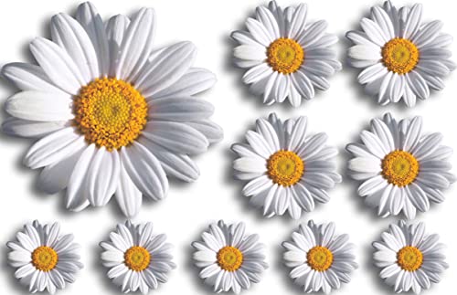 Daisy-Flower-Decals-Car-Stickers-Graphics-Nursery-Wall-Window-Decorations-Art(10 Pack)