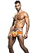 Andrew Christian Men's Trophy Boy Xpose Boxer