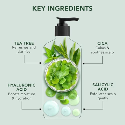 Image of Botanic Hearth Restore & Repair Shampoo with Tea Tree Oil & Salicylic Acid | Clarifying & Anti-Dandruff Shampoo | Deep Cleanses & Soothes Scalp| Sulfate & Paraben Free, 473ml