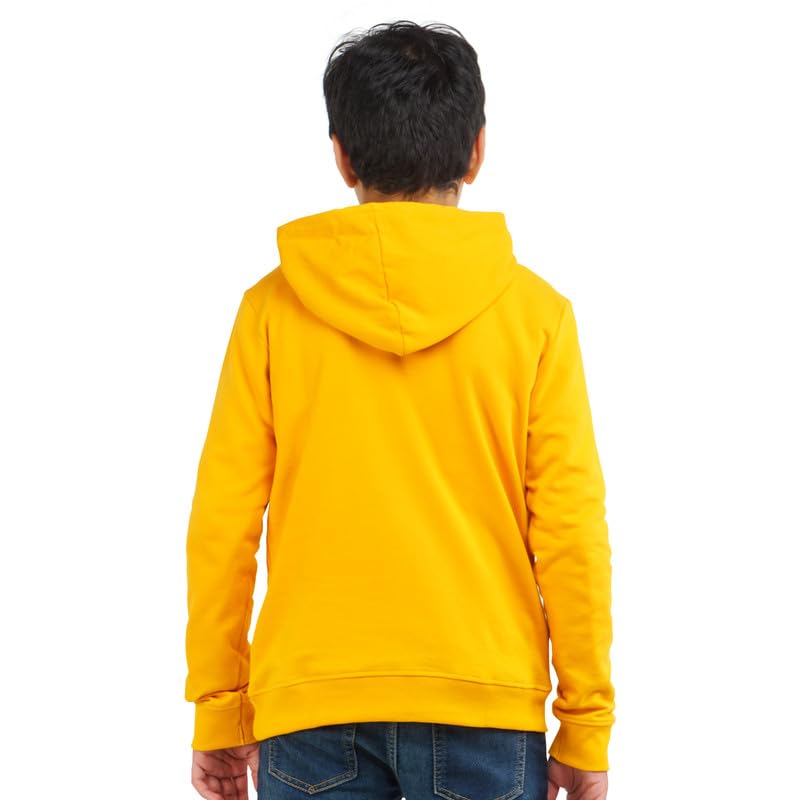 Image of Real Basics Boys Cotton Hooded Sweatshirt(Pack of 1)
