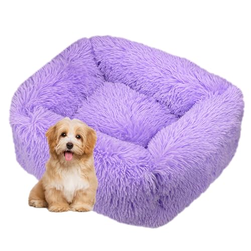 DOTBUY-SHOP Dog Bed Washable, Soft Comfy Cat Bed Macaroon Color Rectangular Dog Bed, Pet Bed With Slip-Resistant Bottom, Orthopedic Dog Beds Gift for Small Dogs Cats (S,Purple)