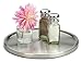 RSVP International Endurance TURN-1 Turntable Lazy Susan, Stainless Steel, 10.5