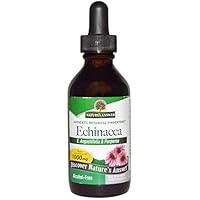 Algopix Similar Product 7 - Natures Answer Echinacea Alcohol Free