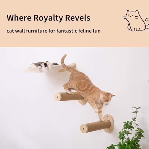 Rede para gatos, prateleiras de parede para gatos, cama com 2 degraus, poleiros de parede para gatos