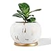 POTEY Planter Ceramic Plant Flower Pot - 5" Large Indoor Glazed Container Bonsai with Drainage Hole Saucer - Large Space, White&Golden