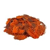 plumas de gallina de colores PARA FIESTAS Y MUCHO MÁS - las plumas para manualidades son insustituibles en floristería y para decoraciones de Pascua y Navidad. Se puede utilizar como decoración de Navidad o para decorar el árbol de Navidad. Las plumas cautivan por su delicadeza, aportan ligereza y un toque de romanticismo a todo el interior.