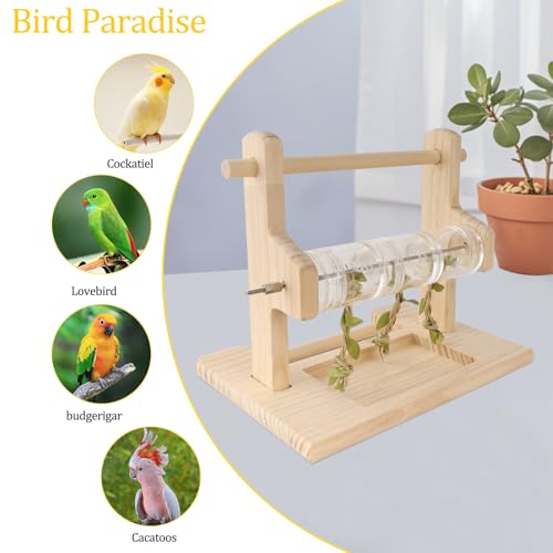 Image of Bird Playground, Parrot Foraging Toy, Wooden Perch with Rotating Drum, Exercise & Feeding Center for Small & Medium Birds