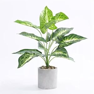 QIUKUN 16” Artificial Plants Fake Potted Faux for Office Desk Shelf Bathroom Home Decor, Green (LV-07)