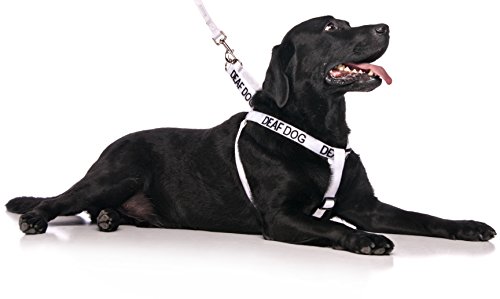 Deaf Dog White Color Coded L-Xl Non Pull Dog Harness Prevents Accidents By Warning Others Of Your Dog In Advance #TOP1