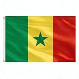 AhfuLife Bandera de Senegal de 150 x 90 cm para Decoración de Fiestas, 2 Bandera Senegal de Doble Cara con Ojales de Latón para la Copa del Mundo de Fútbol, Día Nacional, Jardín, Calle, Fiesta