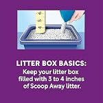 Scoop Away Advanced Multi-Cat Clumping Cat Litter, Meadow Fresh Scent, Pack of 2, 18.5 Pounds (Package May Vary) - Image 3