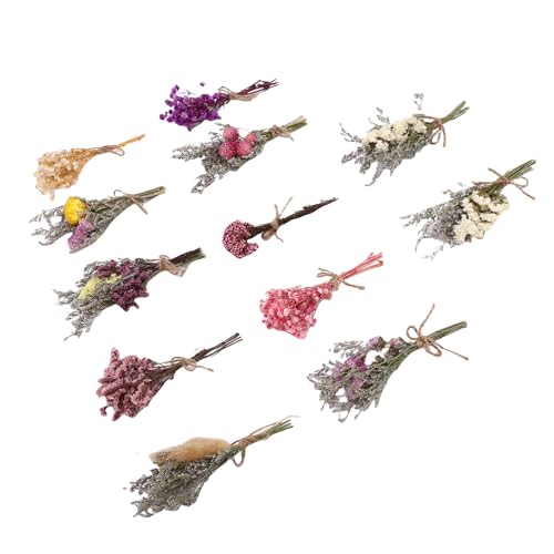 Pissente 12 piezas ramos secos pequeños decorativos miniatura 5