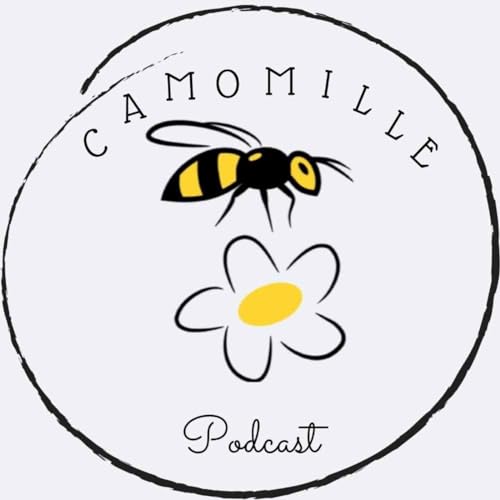 Couverture de La perfection