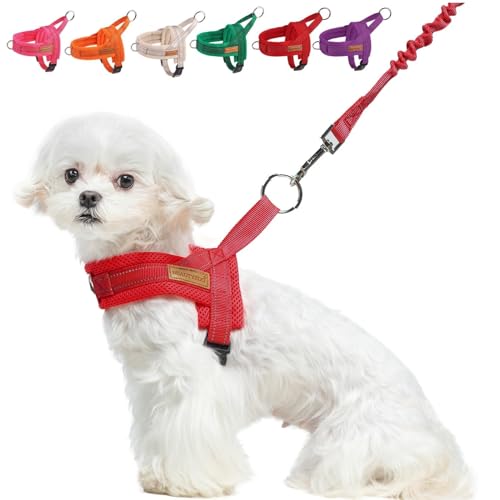 BEAUTYZOO Dog Harness for Small Dogs, No Pull Dog Harness and Leash Set, Soft Escape Proof Puppy Vest Harness with Handle, Reflective Lightweight Step in Harness for Girl Boy Dogs, Red XS
