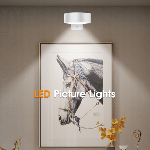 SIXDEFLY Luzes de imagem para parede, 3 modos de iluminação, luz de exibição de arte magnética, luz