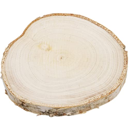 Disque de bois - Diamètre : 15-20 cm - Poli - Épaisseur : 2 cm Cover