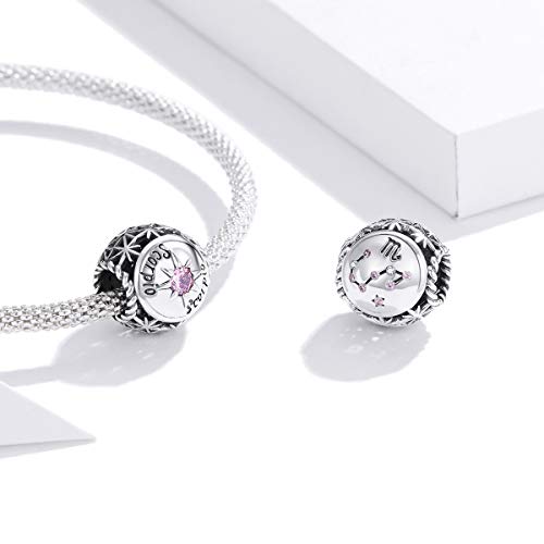 Image of 12 Constellation Charms 925 Sterling Silver Crystal Zircon Charms Family and Friends' Birthday Charm Birthstone Charms for Women Bracelets