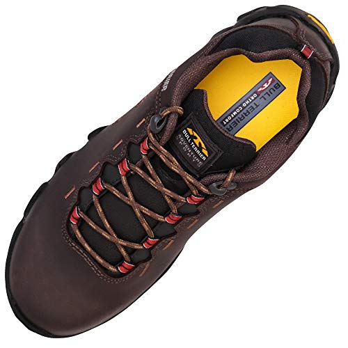 Tênis Bota Bull Terrier Ranger Low Em Couro Masculina