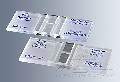 Cell Counting Chamber Improved Neubauer Hemacytometer By Marien Field