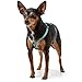 HUNTER TRIPOLI Hundegeschirr, kleine Hunde, Nylon, reflektierend, robust, XS-S, hellblau