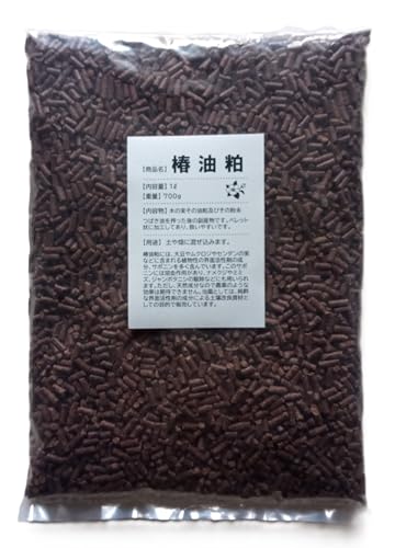 ֖ yǍ 1bg 700O TCYI