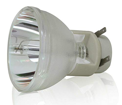 Ampoule nue EC.J9300.001 pour réparer une image terne de projecteur Acer P5290