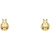 Product Photo 2