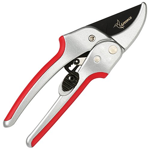 Greenco Ratchet Secateurs