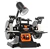WEN BG625V 2.5-Amp 6-Inch Variable Speed Bench Grinder with Flexible Work Light , Black
