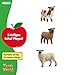 SCHLEICH Farm World | Schaffreunde 42660 Bauernhof Spielfigur | detailgetreue Tierfiguren | Geschenk für Jungen und Mädchen | Bauernhof Spielzeug ab 3 Jahre | Set aus 3 Teilen