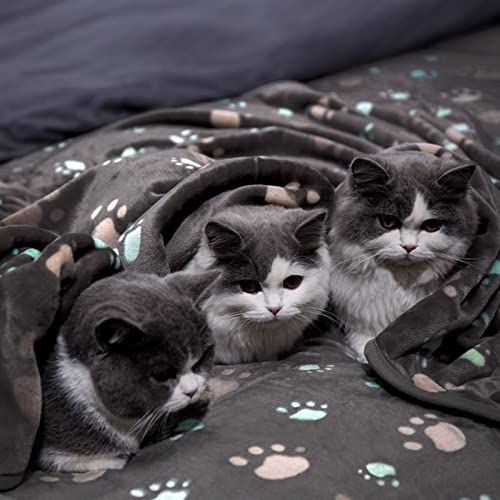 Cobertor para cães, cobertor macio multifuncional para cães, alta absorção de água, capa de carro pa