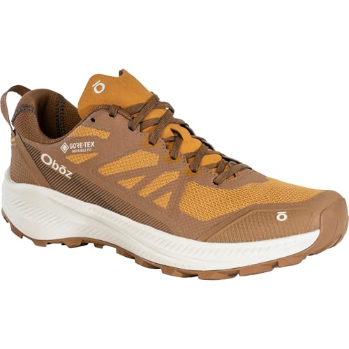 Image of Oboz Men's Katabatic LT Low GTX Hiking Shoe