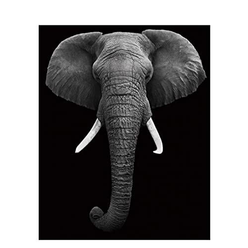 Point de croix éléphant noir et blanc sur toile pré-imprimée pour broder sans se tromper