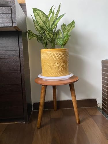 Image of WOOYNEX WOODEN Multifunctional Plant Stand - Modern Home Decor, Wood Planter Holder for Flower Pots, For Living Room Bedroom Balcony Indoor and Outdoor - Kids Stool (Natural -A)
