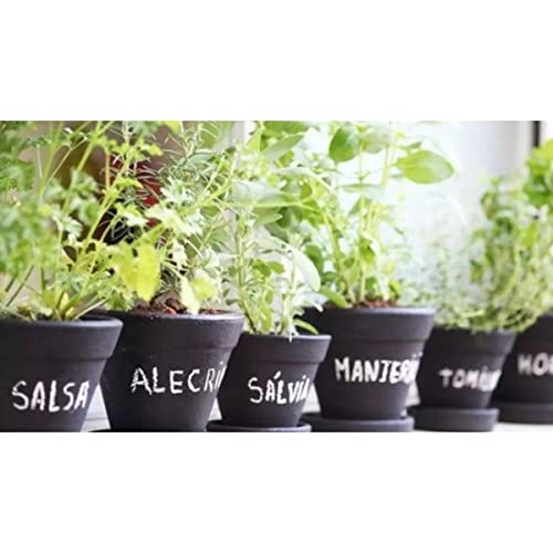 Substrato Preparado Para Mudas 5 Litros